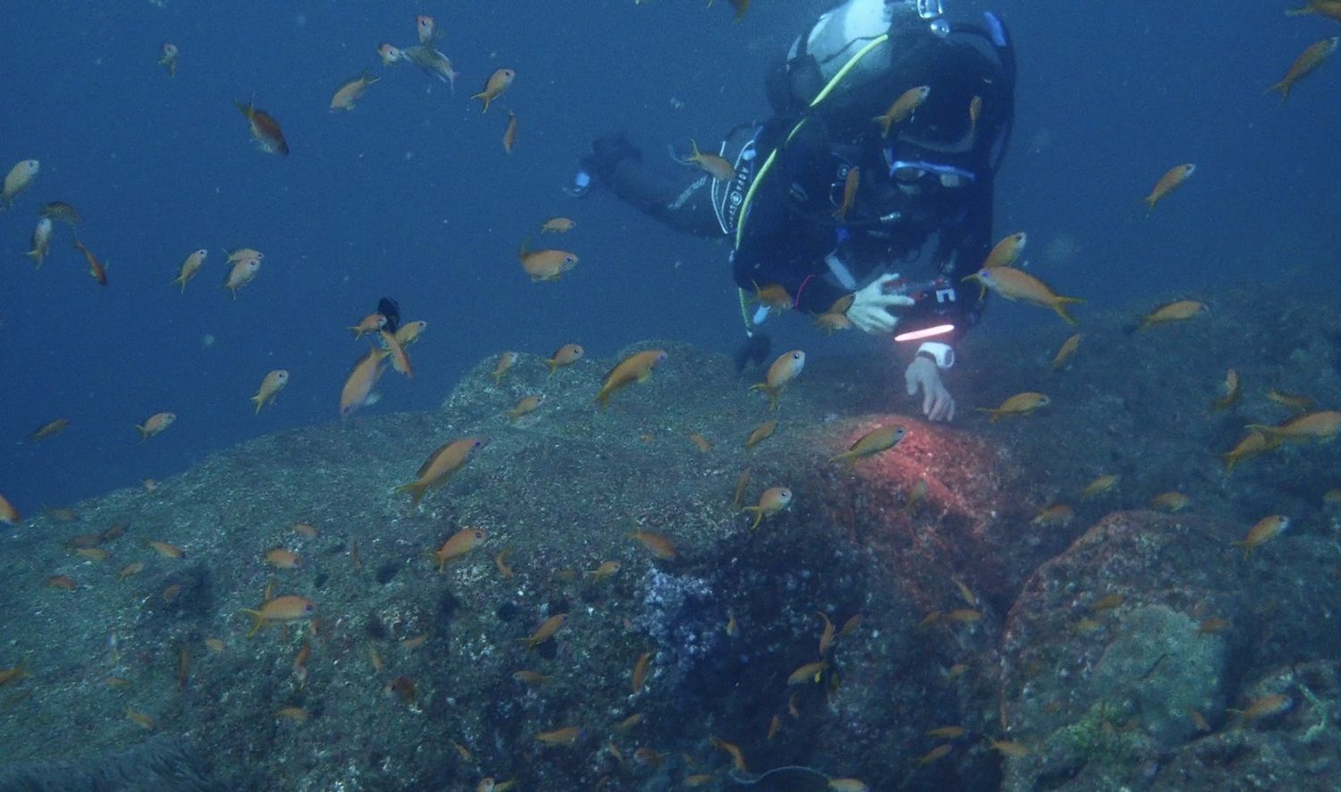 12/10田辺FD2ボート